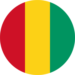 LOGO GUINEE